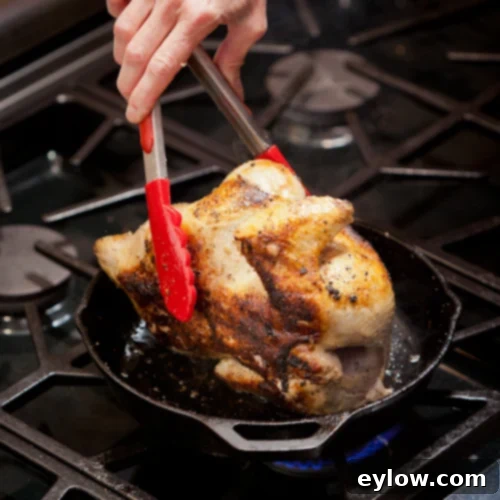 A whole chicken being carefully seared on all sides in a cast iron pan on the stovetop, developing a golden-brown crust before roasting.