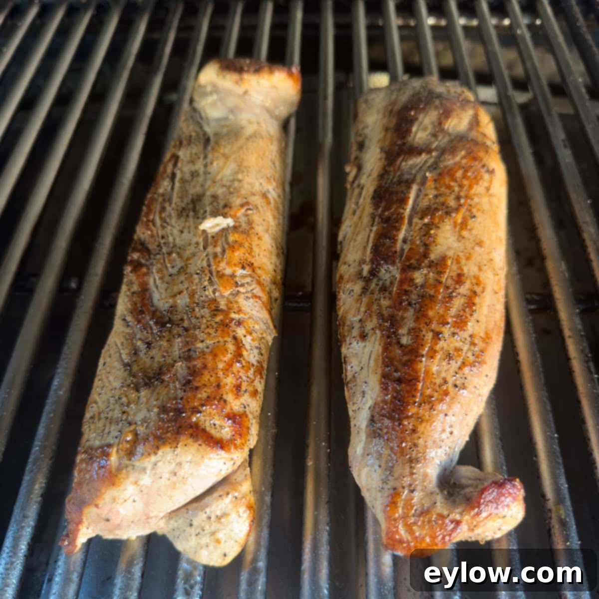 Pellet Grill Smoked Pork Tenderloin 8 Golden brown, seared pork tenderloins on the grill for finishing.