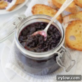 Deep purple blueberry compote, thick and glistening, presented in a clear glass jar with a silver spoon ready for tasting.