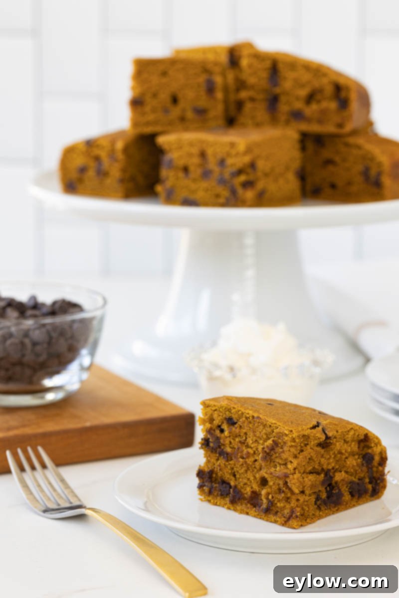 Moist Pumpkin Chocolate Chip Cake 2 Pumpkin chocolate chip snack cake