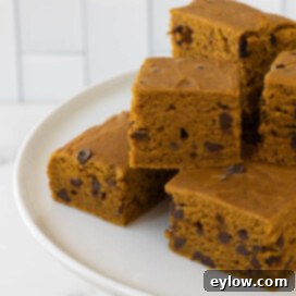 Moist Pumpkin Chocolate Chip Cake 10 Squares of pumpkin brownies with chocolate chips on a white cake stand.