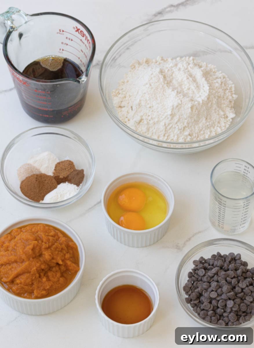 Moist Pumpkin Chocolate Chip Cake 3 pumpkin snack cake ingredients.