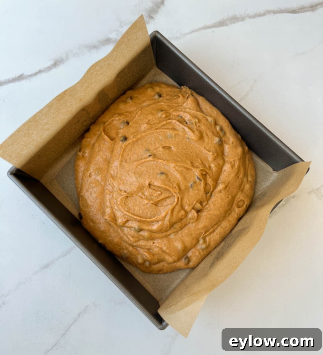 Moist Pumpkin Chocolate Chip Cake 7 Cake batter in pan ready to bake.