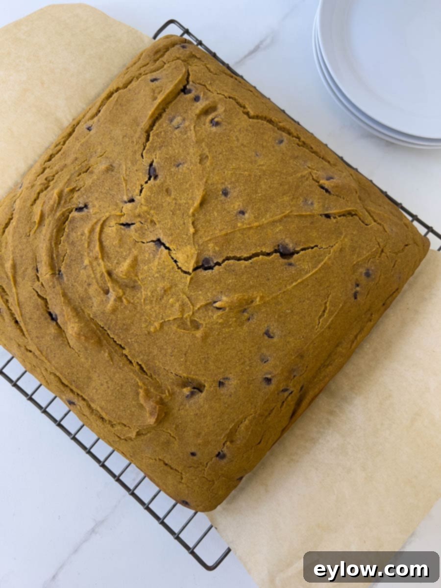 Moist Pumpkin Chocolate Chip Cake 8 pumpkin cake on cooling rack.