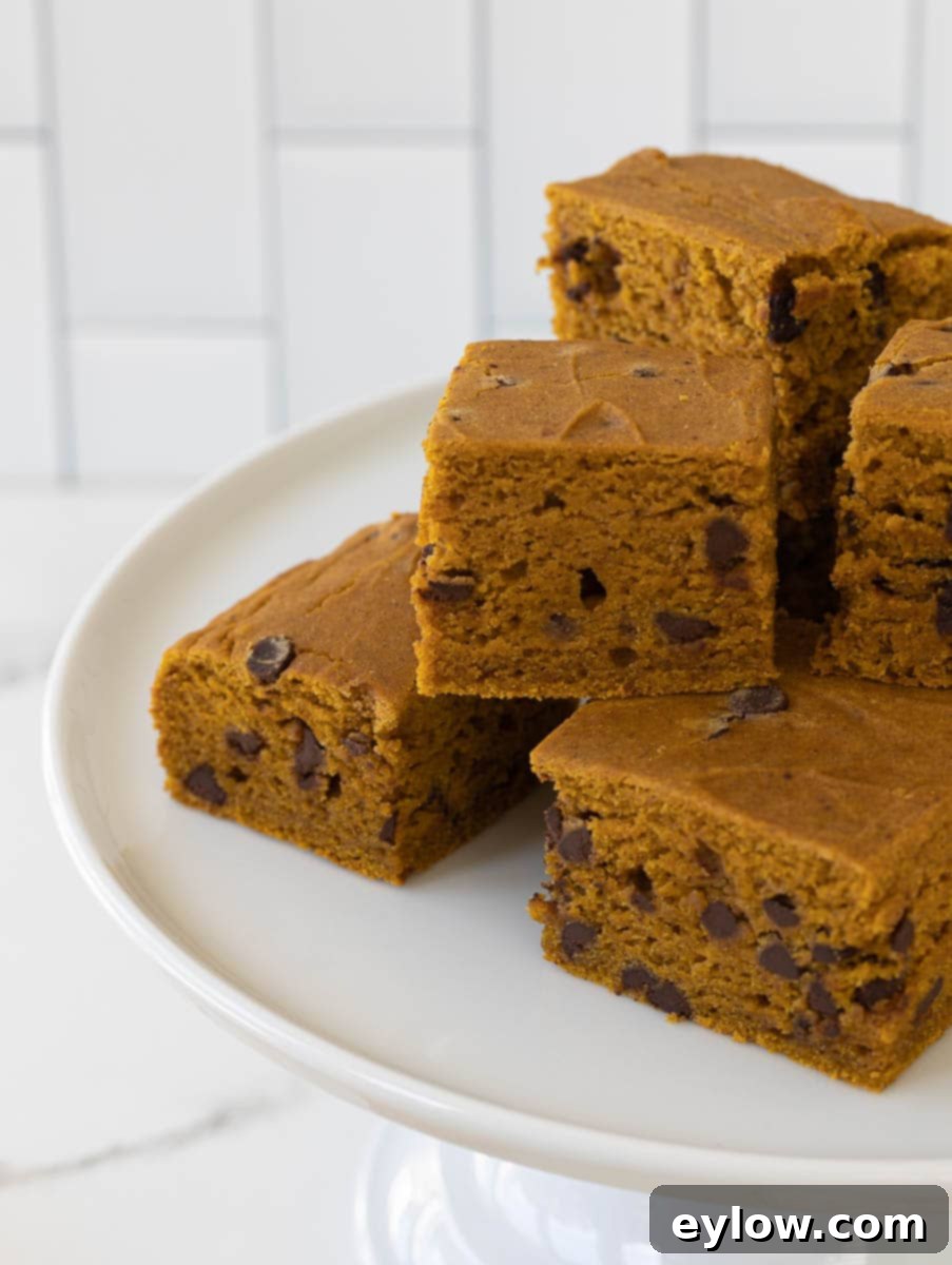 Moist Pumpkin Chocolate Chip Cake 9 Squares of pumpkin brownies with chocolate chips on a white cake stand.