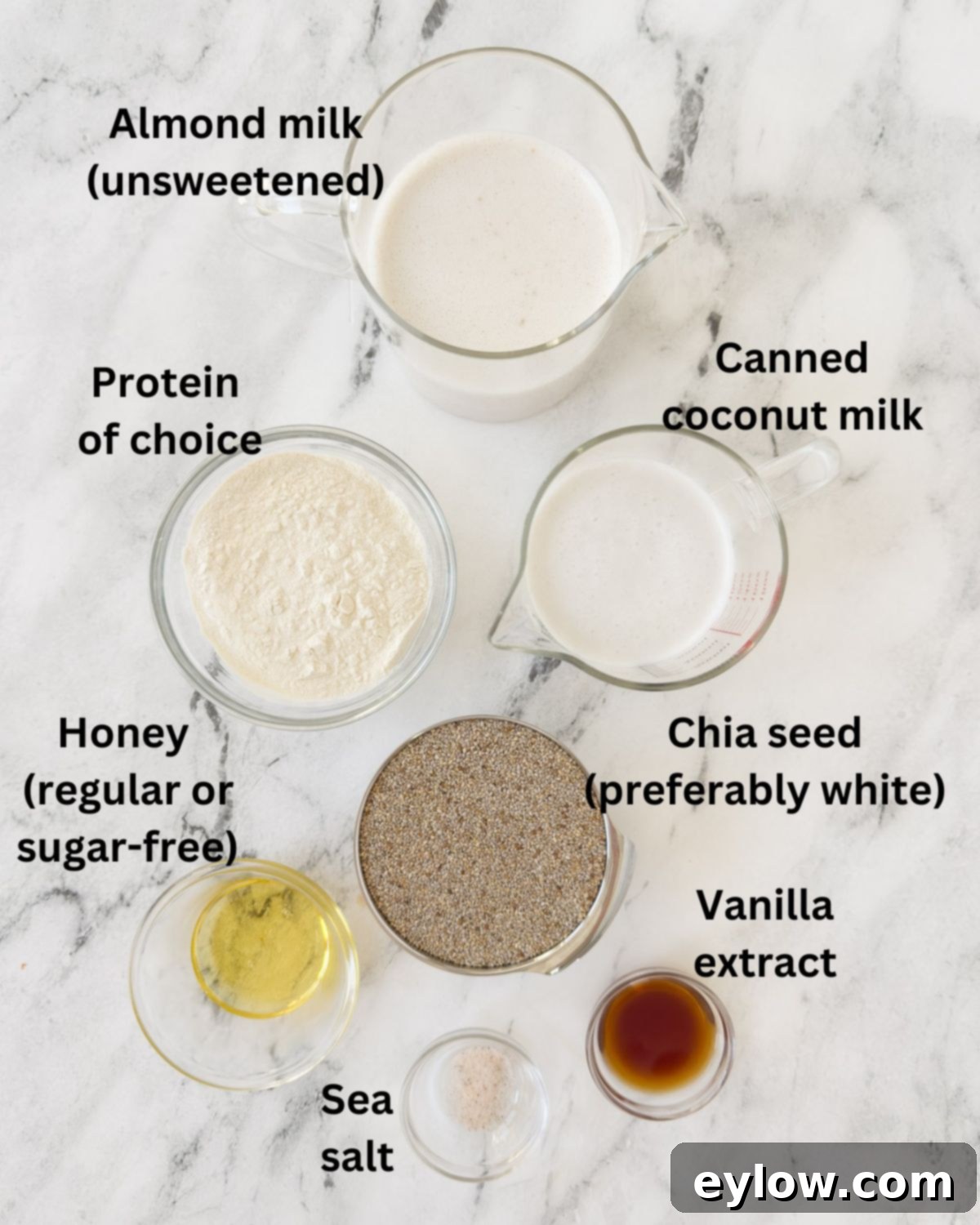 Ingredients for chia pudding with coconut milk in prep bowls on a counter. 