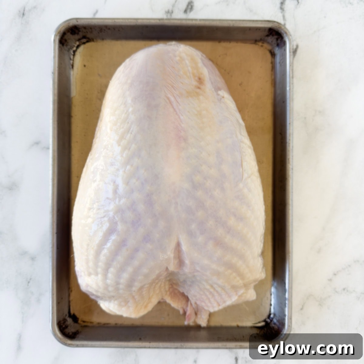 A raw whole turkey breast on a parchment covered sheet tray for perp.

