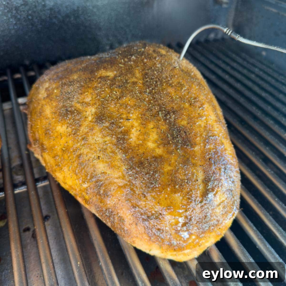 Smoking a turkey breast with a meat probe on the grill.
