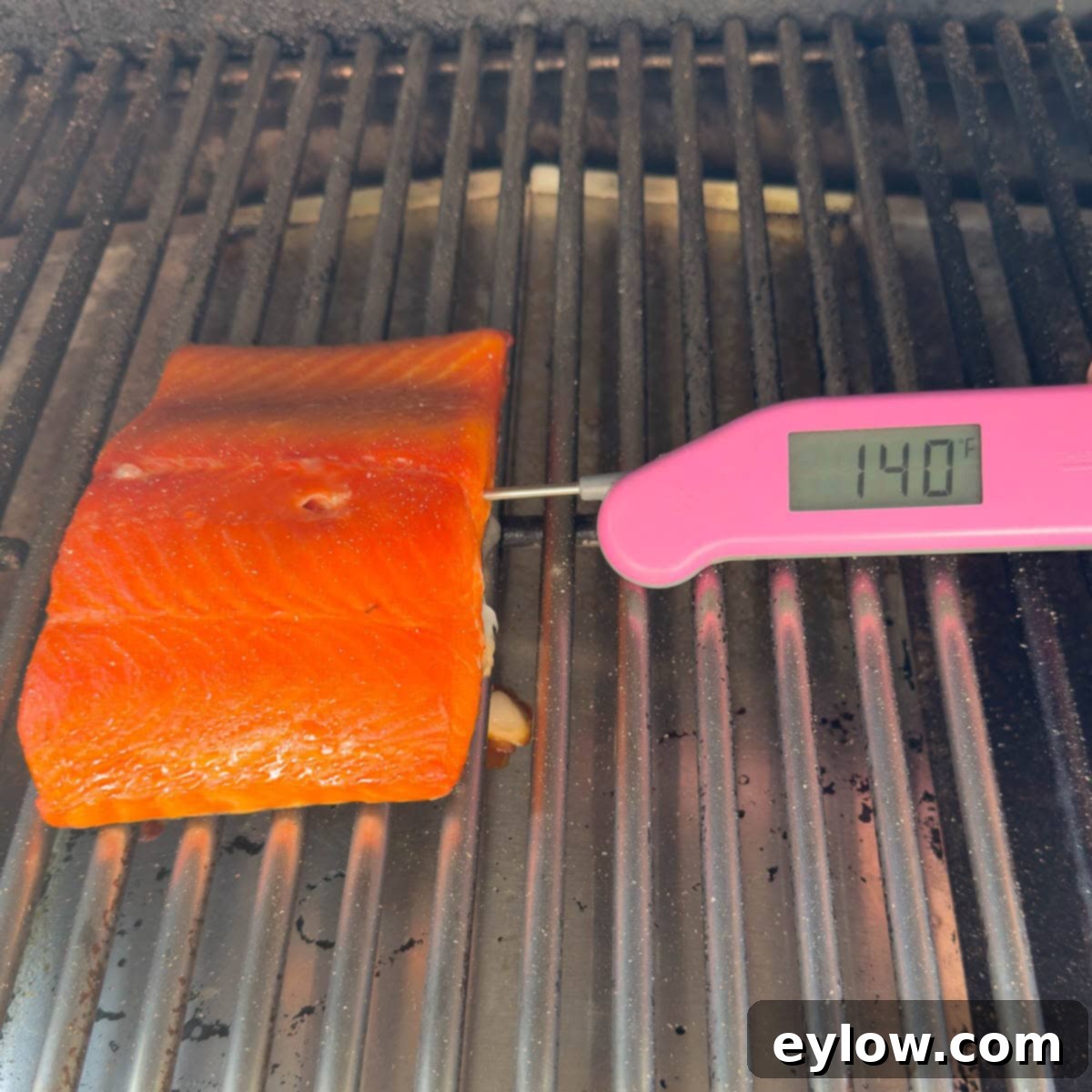 Pellet Grill Smoked Salmon Perfection 11 Smoked salmon on a pellet grill cooked to 140°F per digital thermometer.