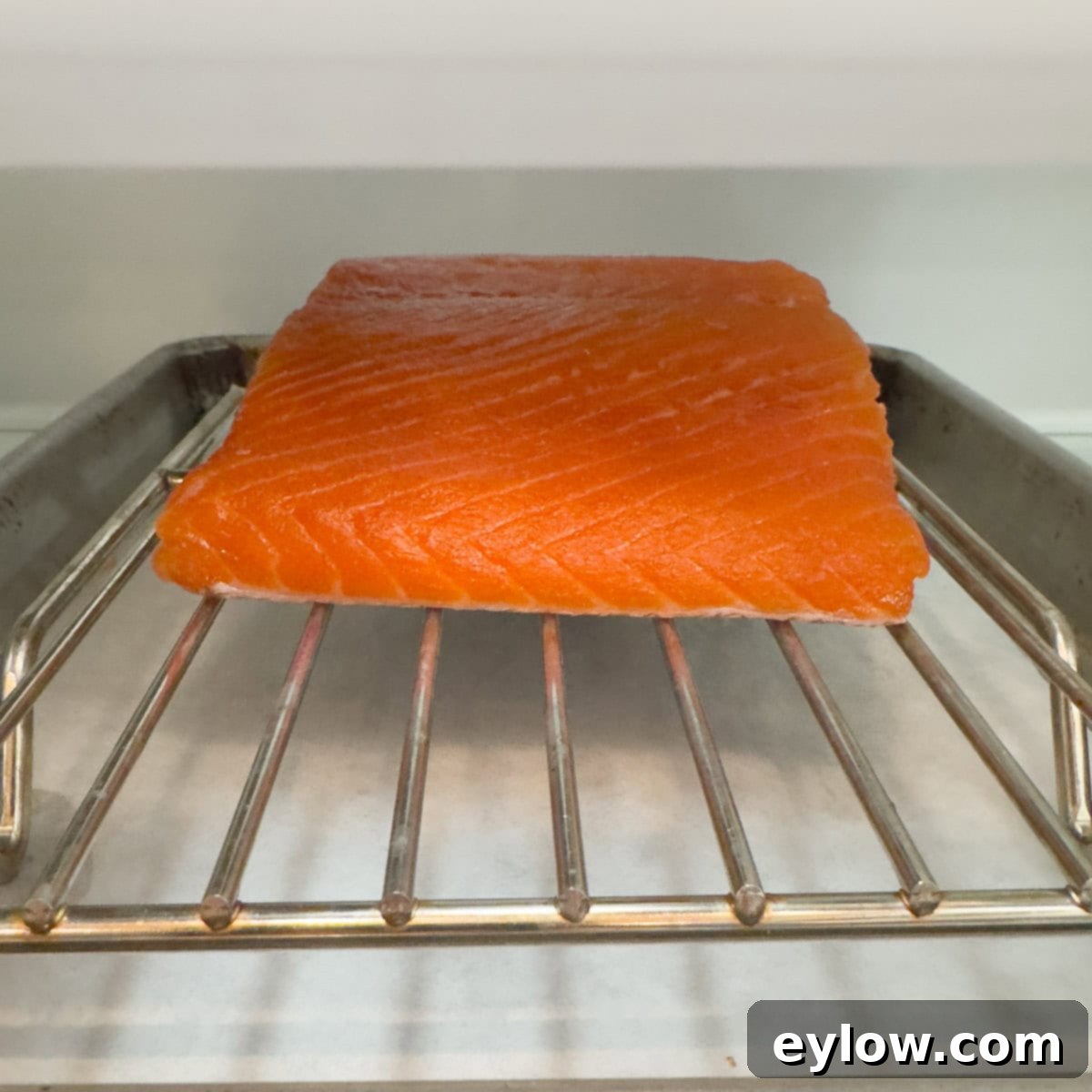 Pellet Grill Smoked Salmon Perfection 9 Raw king salmon fillet drying on a wire rack in the refrigerator.