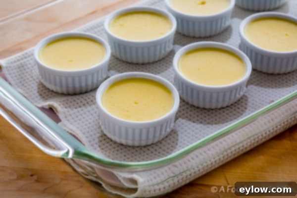 Zesty Orange Brulee 3 Creme brulee in water bath