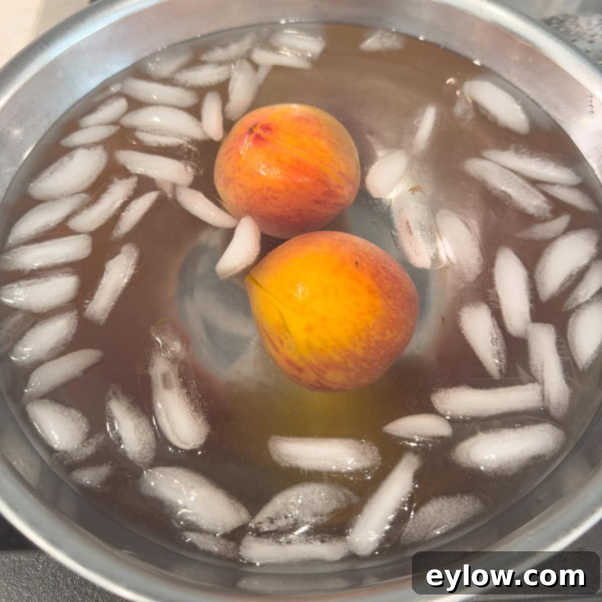 Peaches in an ice bath chilling for peeling. 