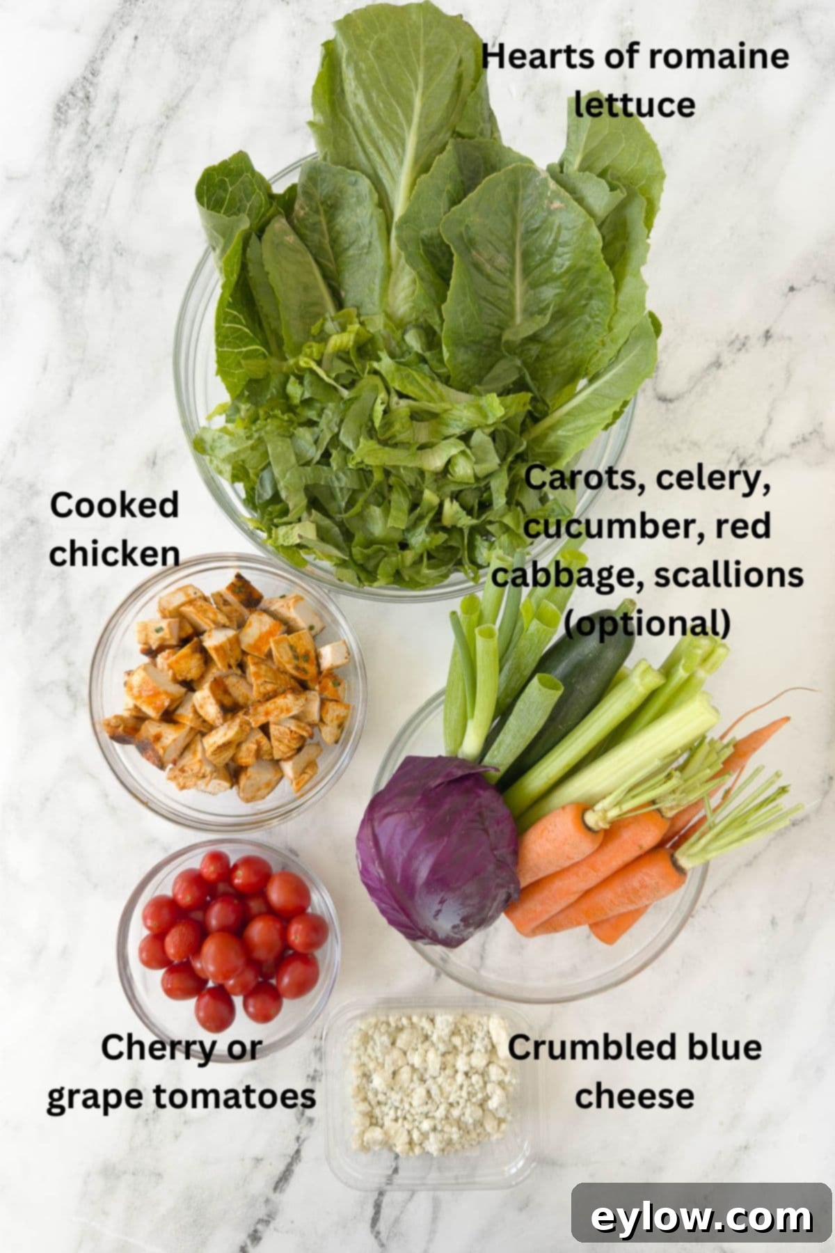 Ingredients for a buffalo chicken salad with carrots, celery, tomatoes, and romaine.