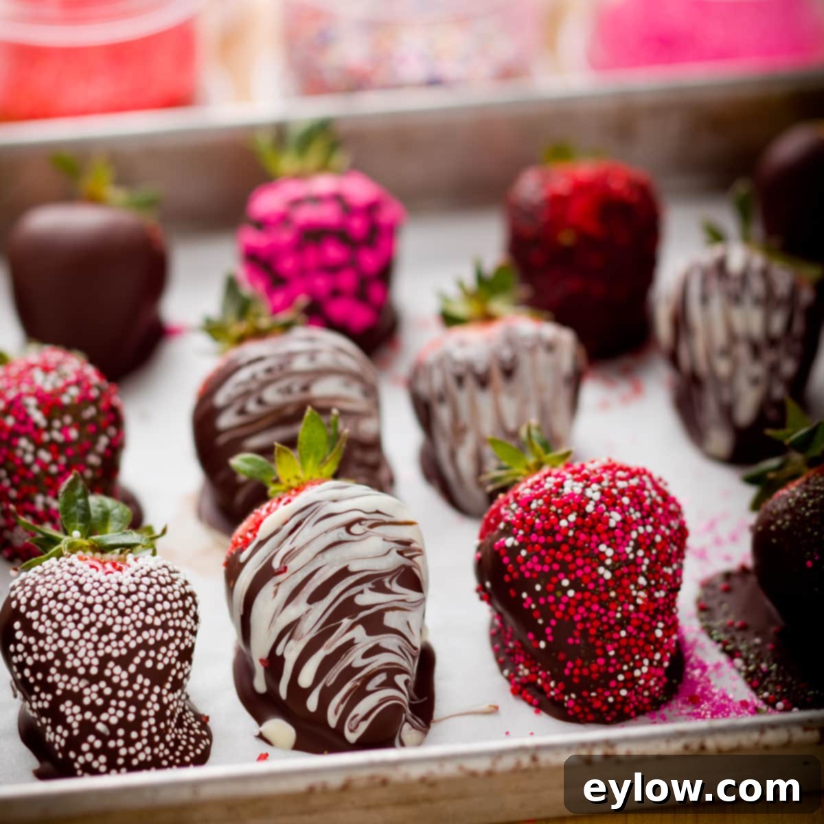 Chocolate Strawberry Delights 4 A tray of beautifully decorated chocolate-dipped strawberries, adorned with various fancy sugars, chilling to set before serving.