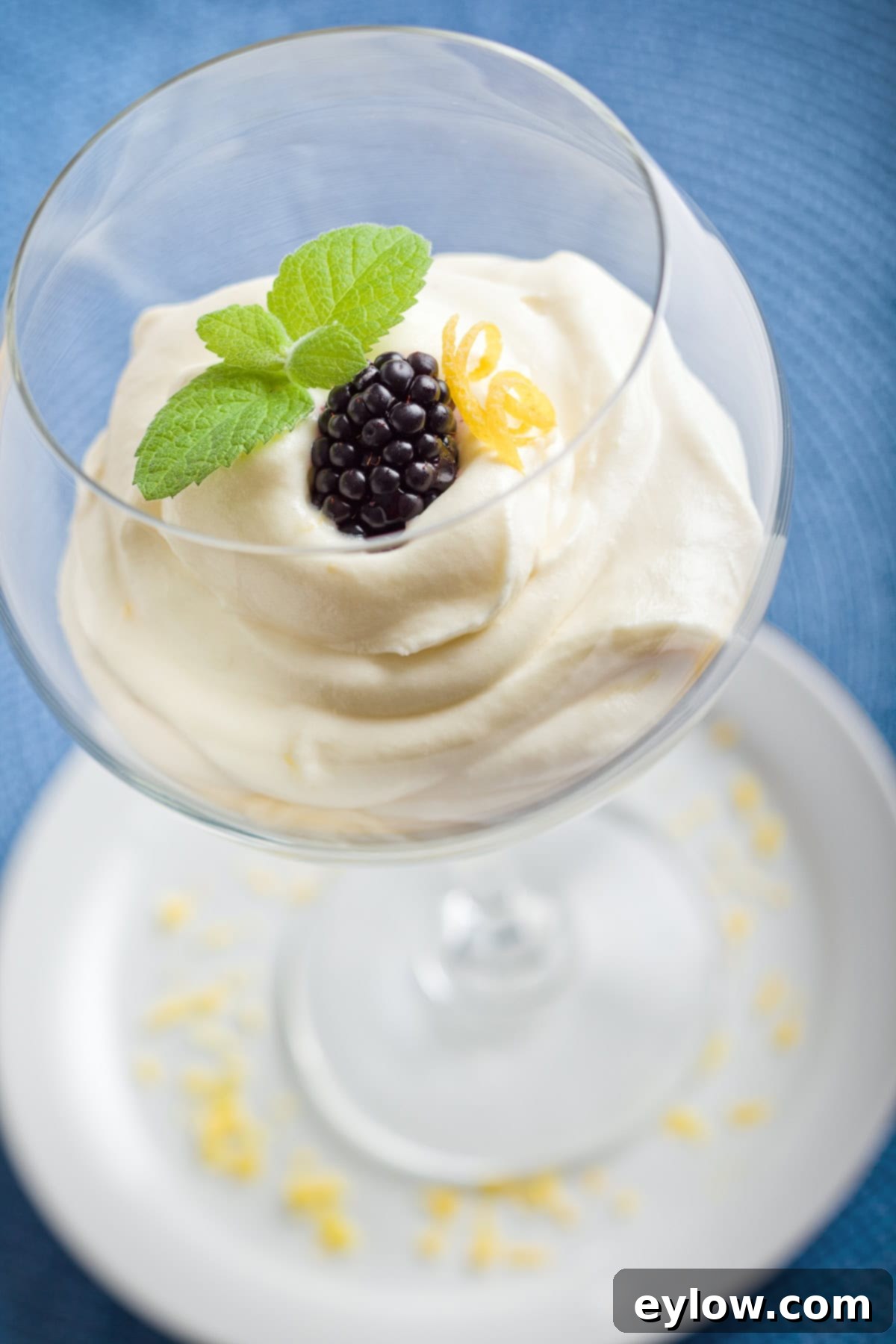 Whip Up Luscious Lemon Mousse 2 A stemmed wine glass with softly whipped lemon mousse garnished with fresh mint and a blackberry, ready to be served.