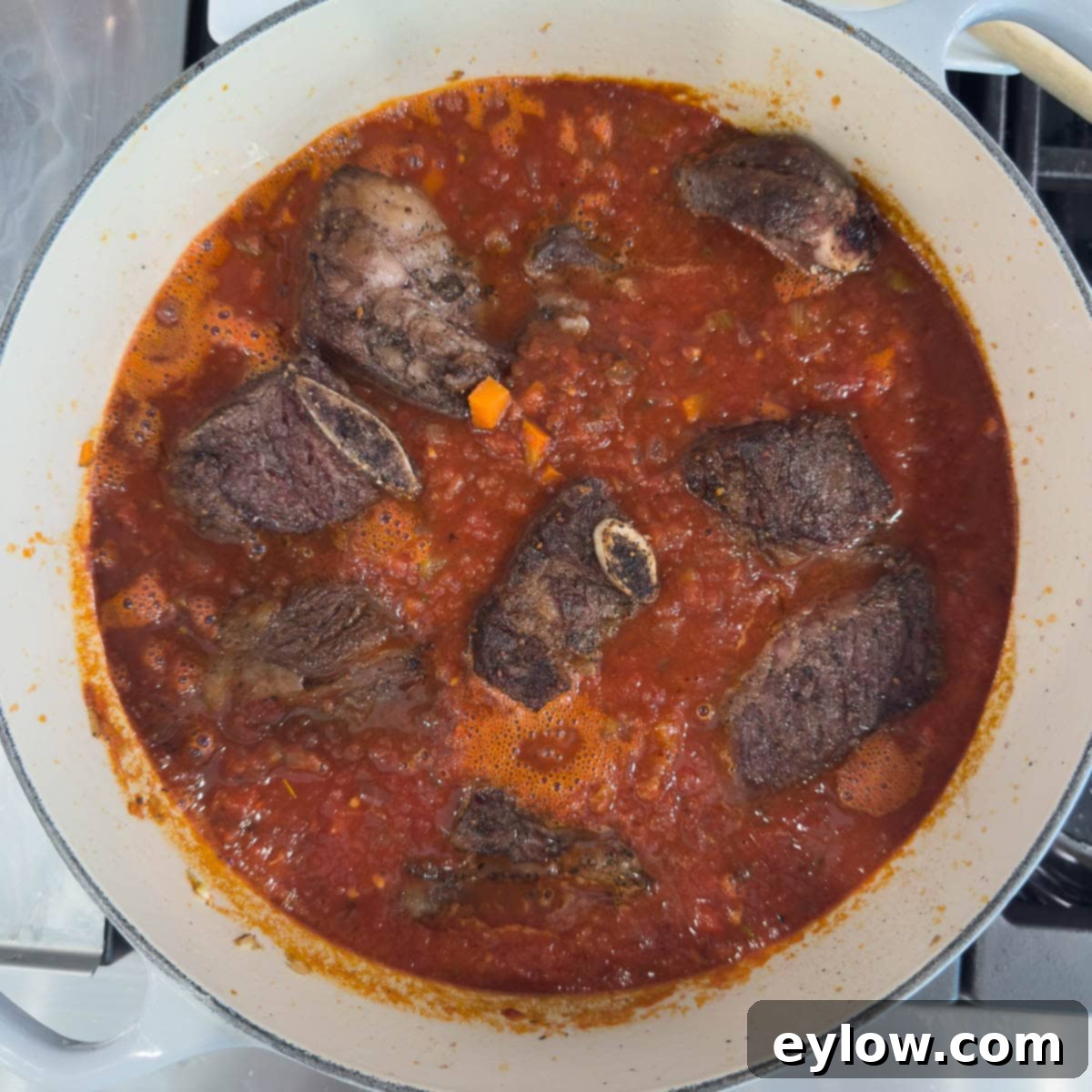 Rich Braised Beef Short Rib Ragu 11 Beef short ribs nestled into braising liquid in a dutch oven for making a ragu.