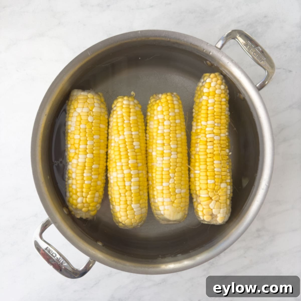 Cooking yellow corn on the cob in a pot of boiling water.