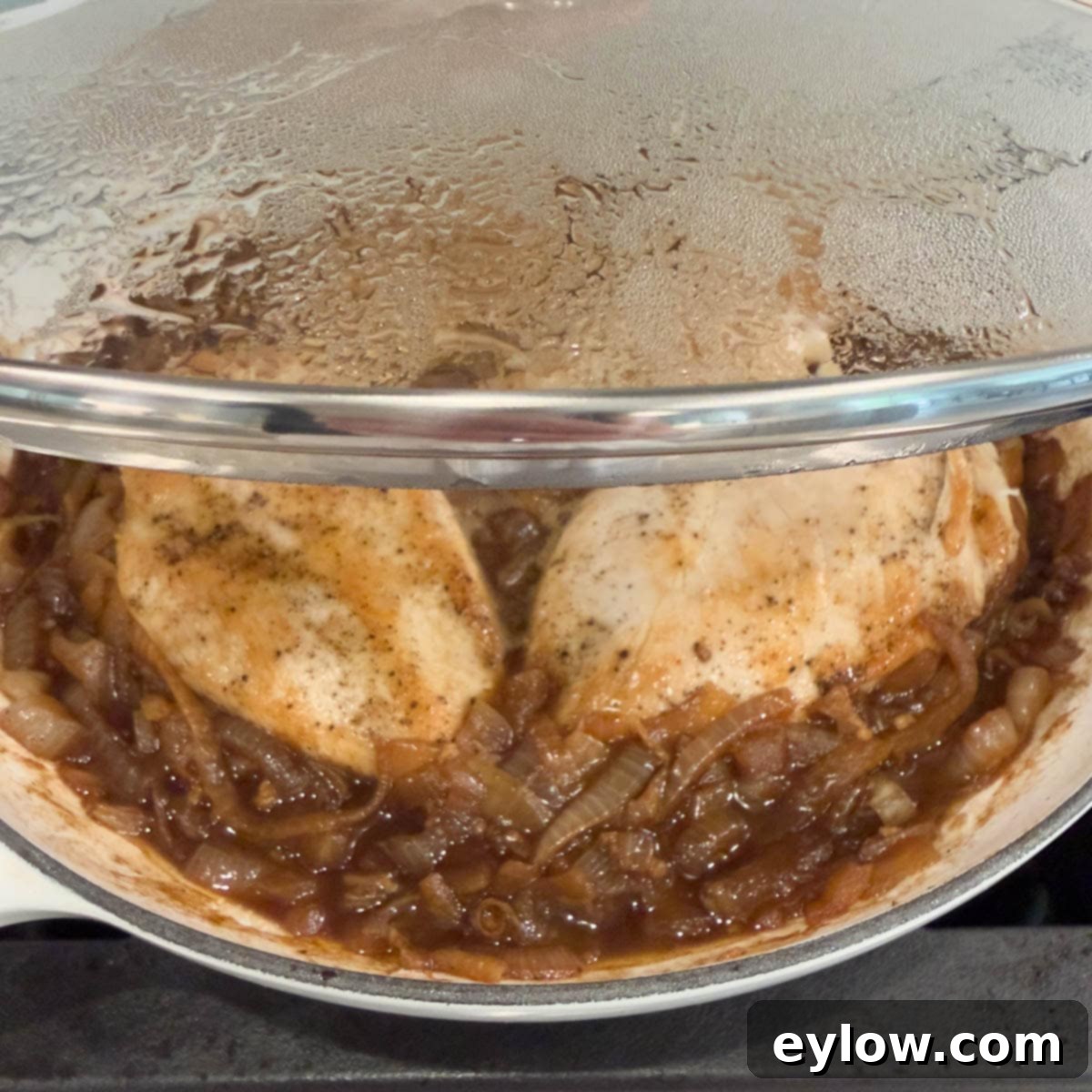 Placing the seared chicken back into the pan with caramelized onions and sauce, ready to be covered and finished.