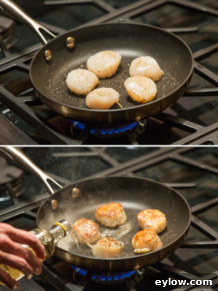Searing jumbo scallops in a non-stick pan to create a golden crust.