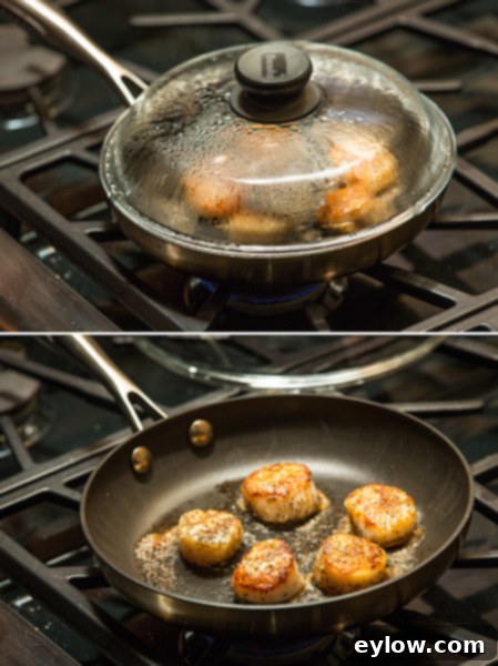 Finishing seared scallops by deglazing and steaming to lock in moisture.