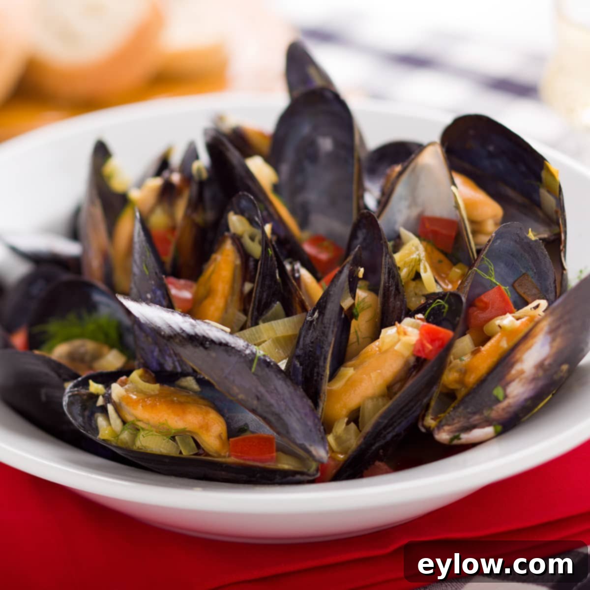 Steamed mussels in a white bowl. 