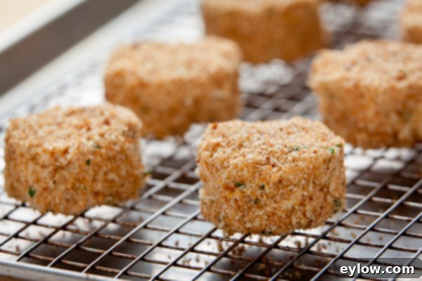 Chilled crab cakes coated in toasted breadcrumbs, prepared for baking