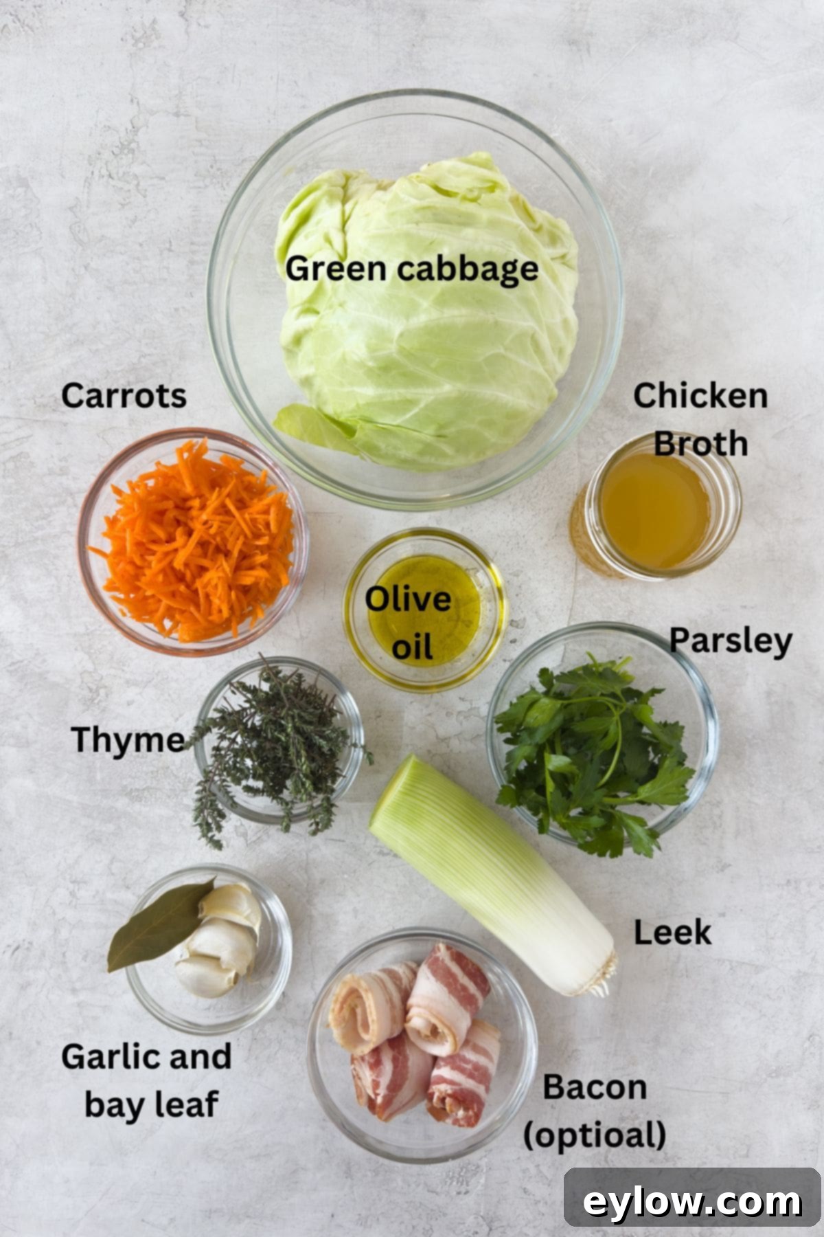 A fresh green cabbage head.