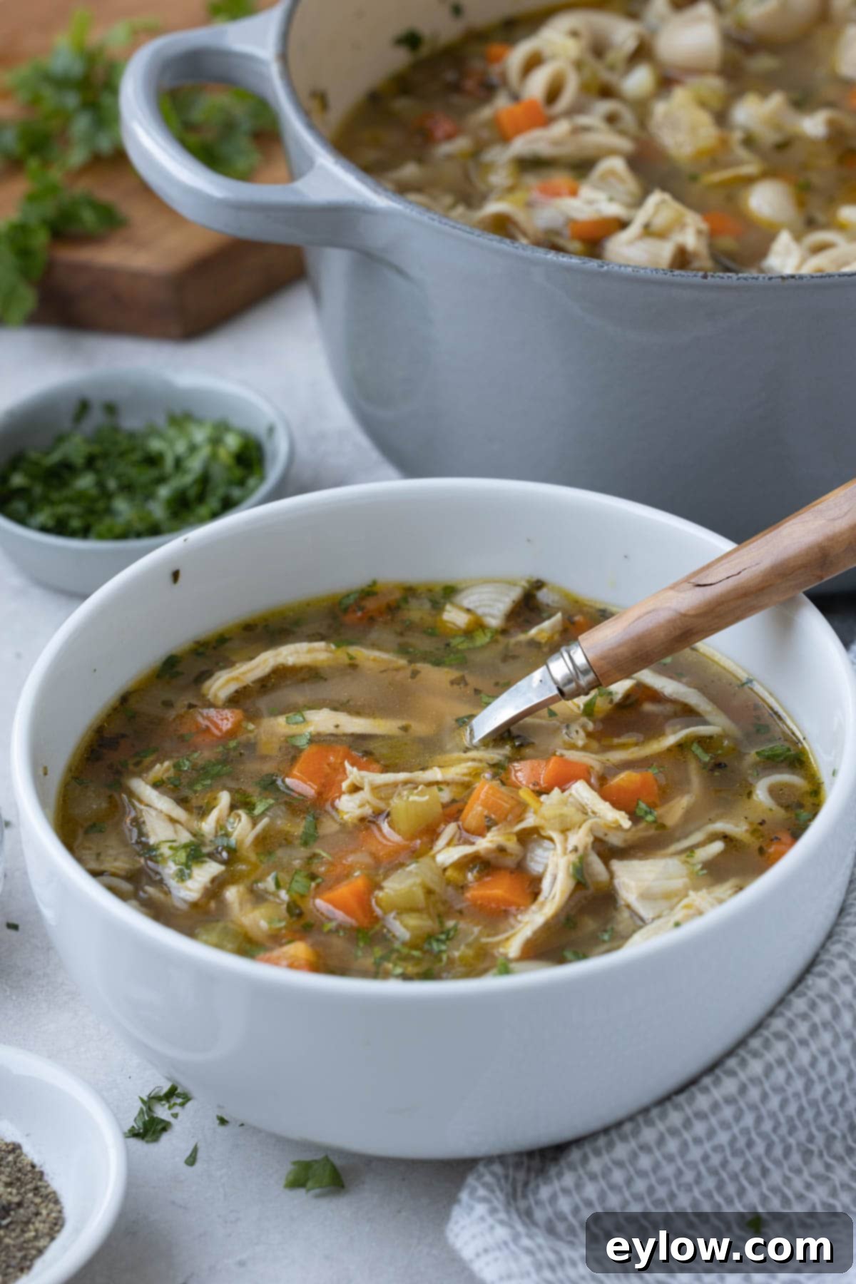 An individual serving bowl of chicken vegetable soup garnished with fresh parsley, with a large pot of soup in the background.