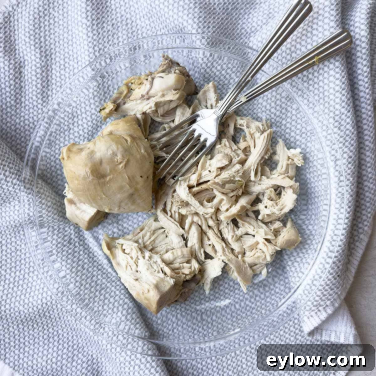 A cooked chicken breast being shredded into pieces using two forks in a glass pie plate.