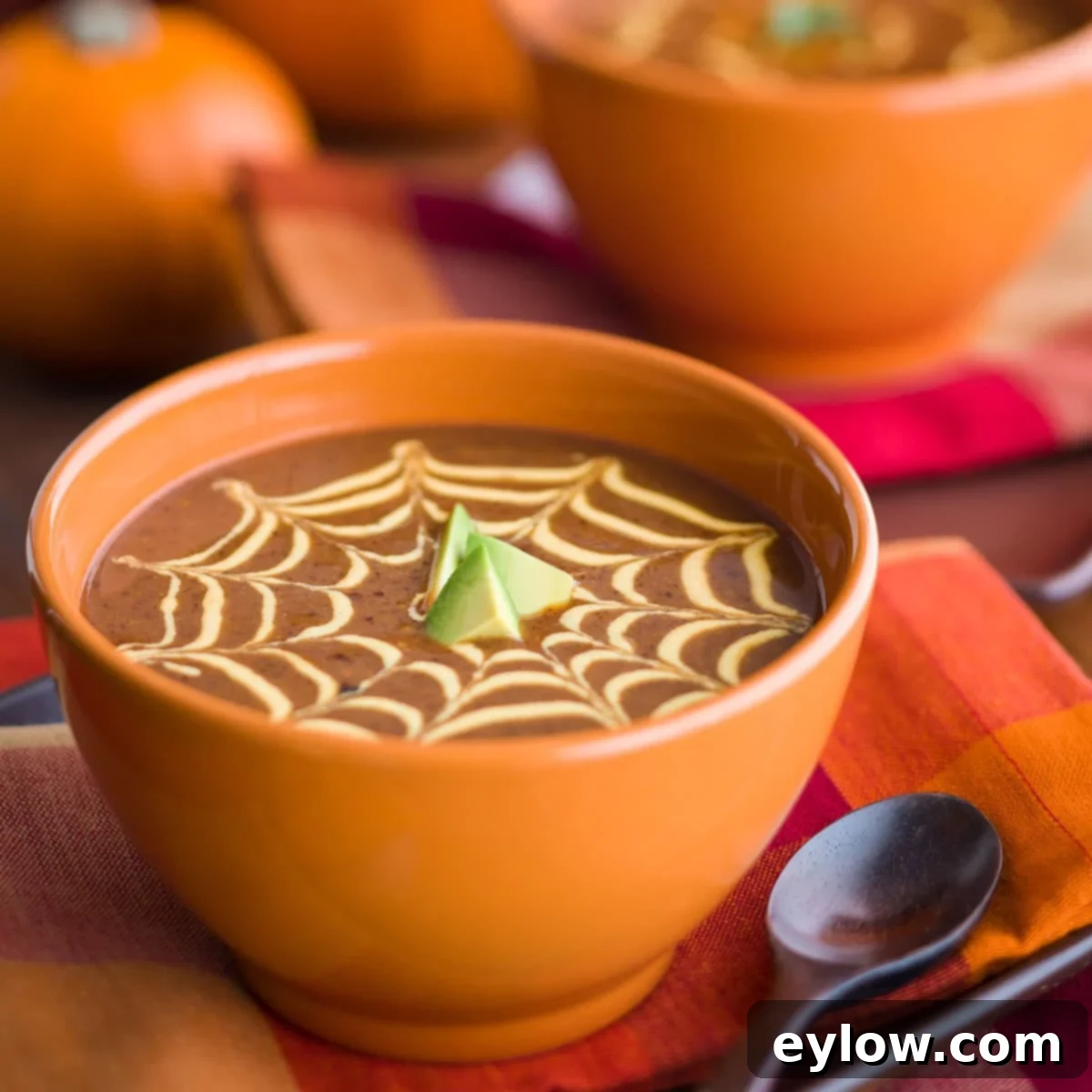 Homemade Turkey Stock 8 Black bean pumpkin soup with a sauce spider web on top.