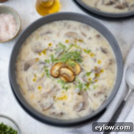 A gray bowl of chunky creamy leek and mushroom soup with a spoon beside the bowl.