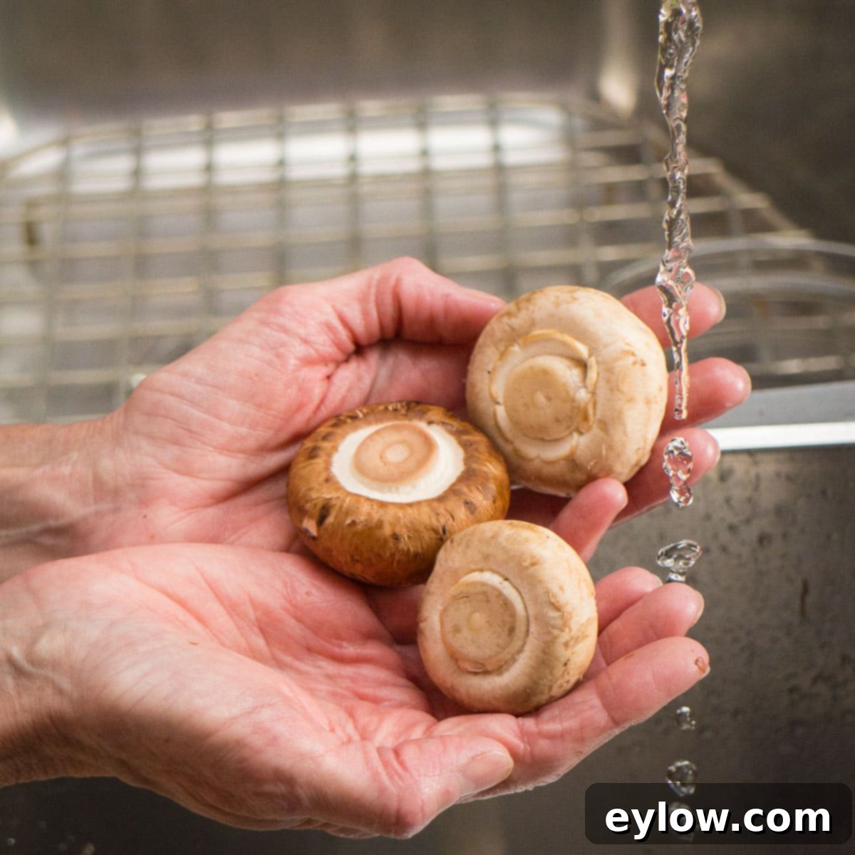 Hands holding mushrooms under a trickle of water to rinse off dirt and debris.