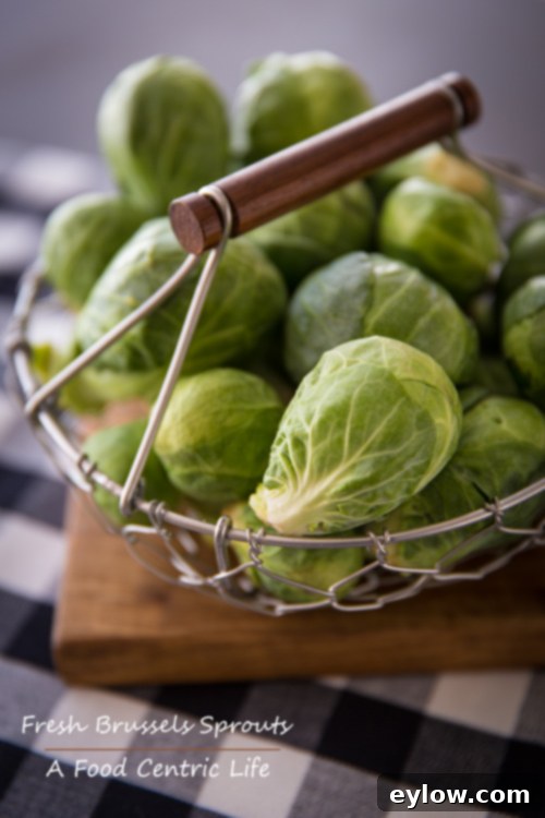 A rustic woven basket overflowing with fresh, raw, vibrant green Brussels sprouts, highlighting the natural beauty and abundance of the key ingredient, ready for culinary preparation.