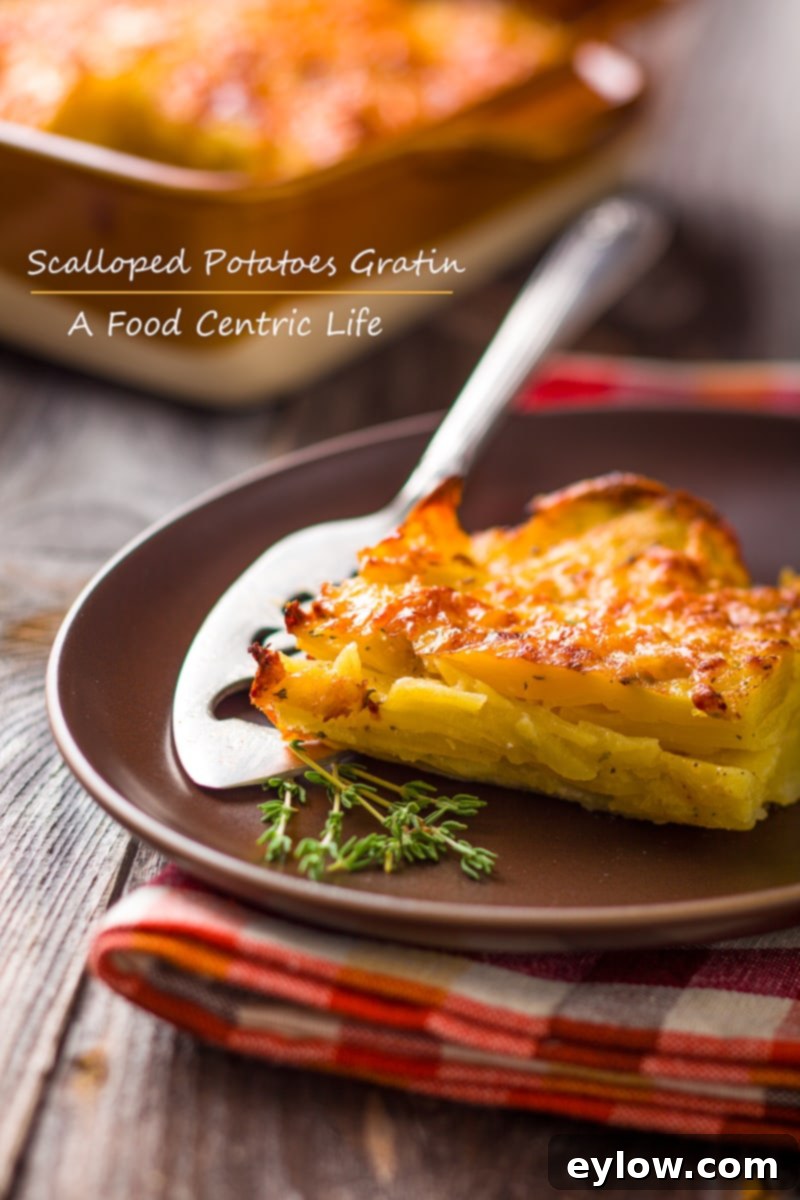 Irresistible Cheesy Potato Gratin 2 Scalloped potatoes au gratin, golden brown and bubbling.