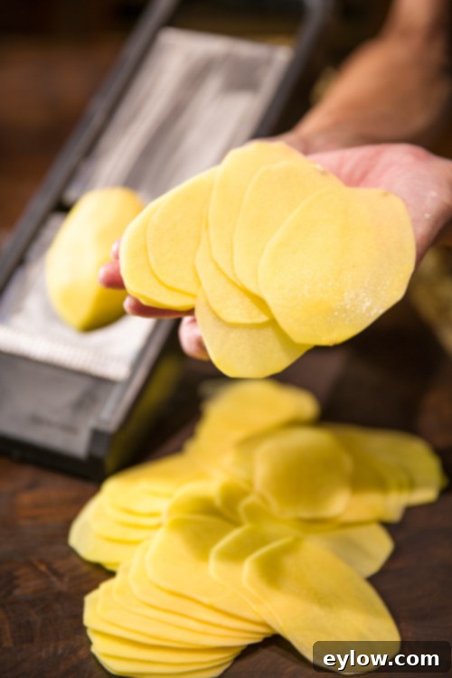 Potato Slices Thinly slicing potatoes with a mandoline for au gratin.