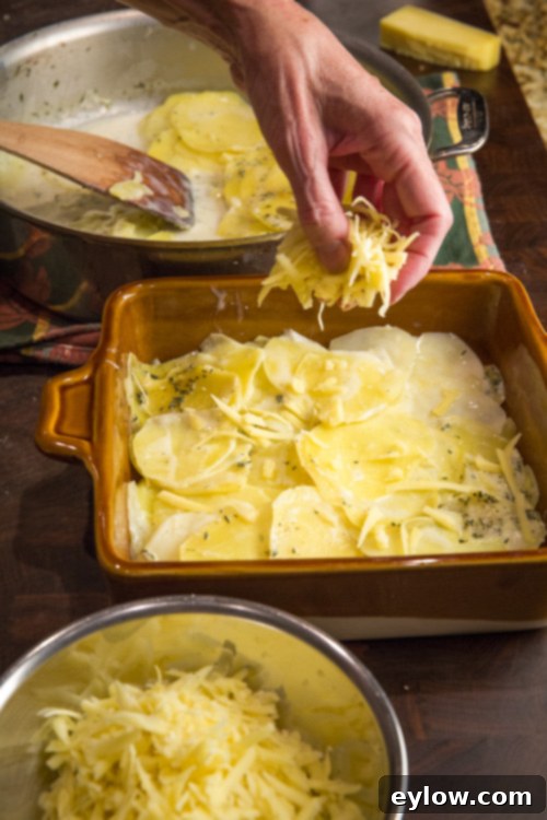 Scalloped Potatoes Gratin Process Assembling layers of scalloped potatoes with cheese.