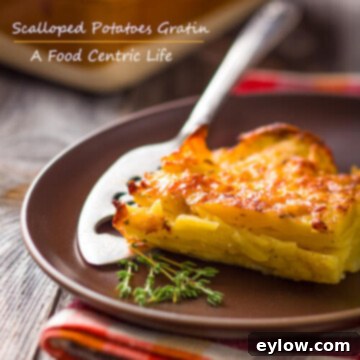 Irresistible Cheesy Potato Gratin 3 scalloped potatoes gratin | AFoodCentricLife.com