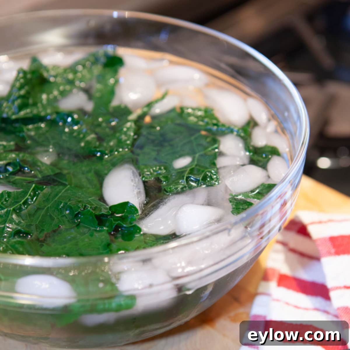 Shocking cooked kale in ice water to stop the cooking process and chill leaves.