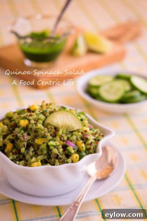 Close-up of vibrant Avocado Quinoa Salad with spinach, corn, red onion, and cucumber, served in a bowl.