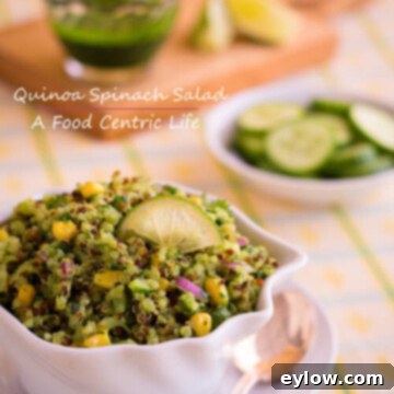 A bowl of fresh Avocado Quinoa Salad with a vibrant green spinach dressing, ready to be enjoyed.