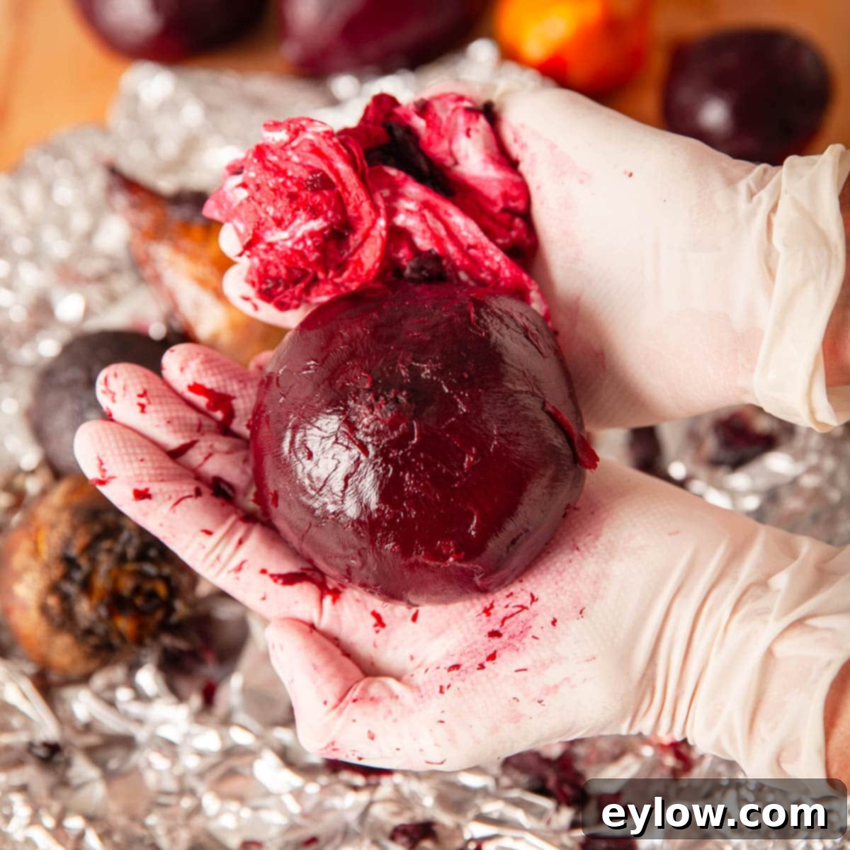 Gloved hand showing a skinned beet rubbed off with paper towels.