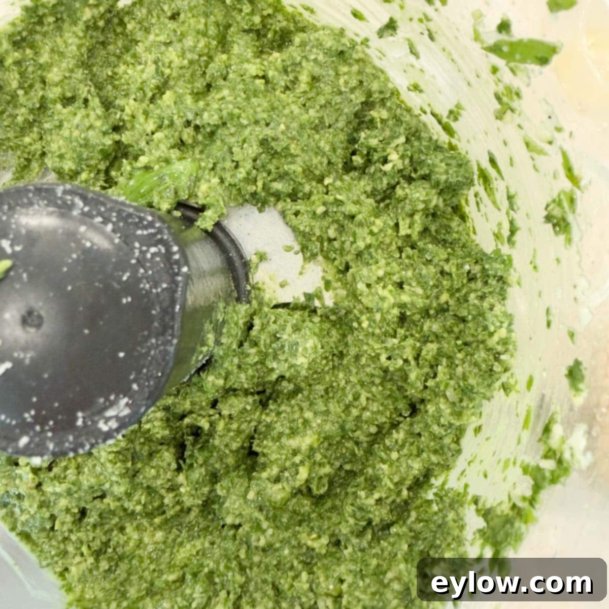 Genovese Basil Pesto: The Original Italian Recipe 4 Vibrant green basil pesto perfectly pureed within the workbowl of a food processor, ready to be enjoyed or stored.
