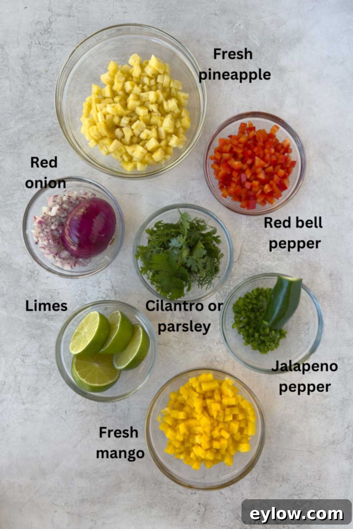 Fresh ingredients for homemade pineapple mango salsa, including chopped pineapple, mango, red onion, bell peppers, and fresh herbs, ready to be combined.