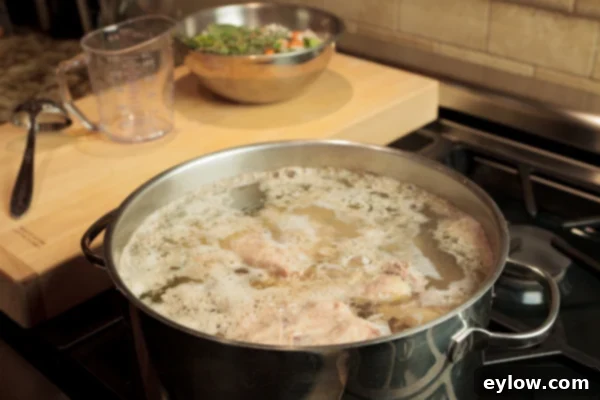The start of cooking broth in a large pot.