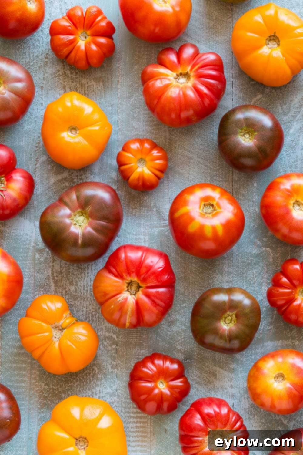 Andalusian Gazpacho Chilled Spanish Tomato Soup 3 A colorful array of heirloom tomatoes from red to gold to burgundy, on a gray cutting board.