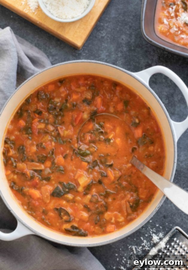 A pot of ribollita soup ready to serve with a ladle in the pot.