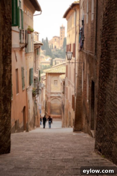 An old stone street in Siena, Italy. 