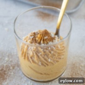Velvet Pumpkin Mousse No-Bake Treat 14 A glass of creamy pumpkin mousse dusted with cinnamon with a gold spoon.
