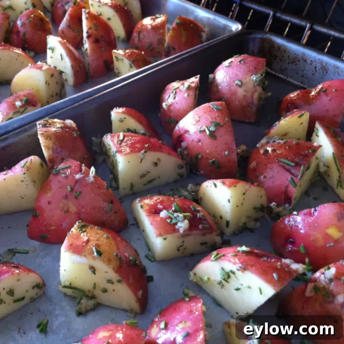 Golden Crispy Red Potatoes: Air Fried or Oven Roasted 7 Raw red potatoes with olive oil and rosemary in oven for roasting.