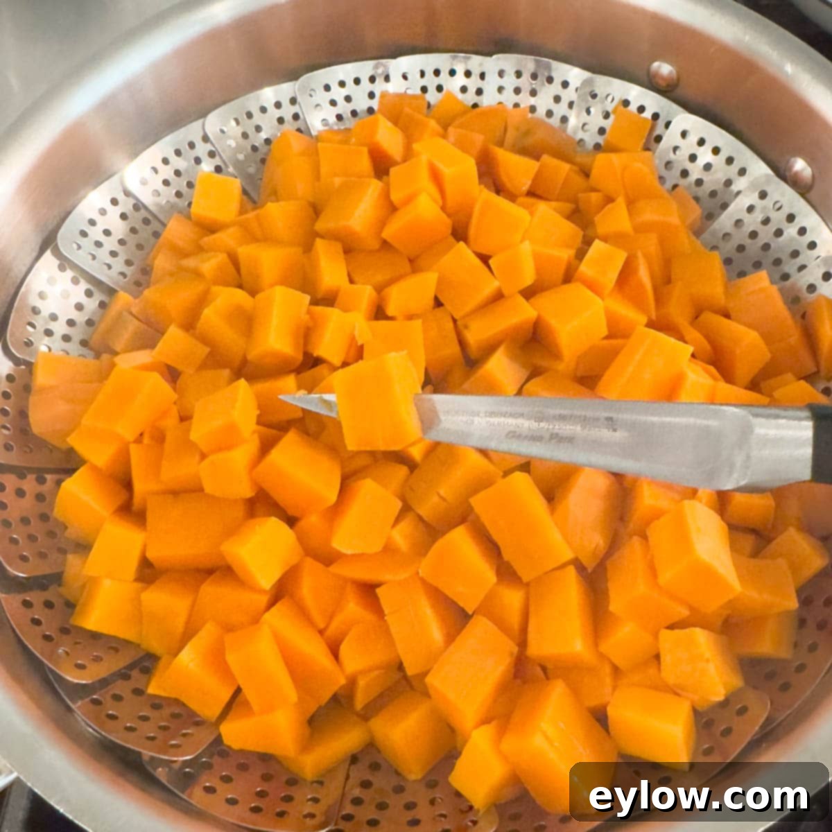 Cooked diced sweet potatoes ready to be whipped or mashed. 